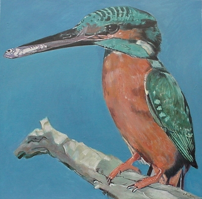 IJsvogel IJsvogel