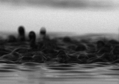 Untitled Soundscape #3 Untitled Soundscape #3