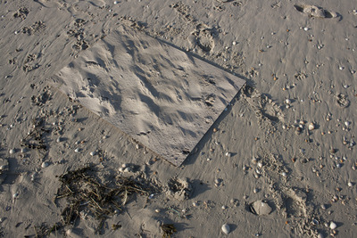 the impossibility of permanence the impossibility of permanence