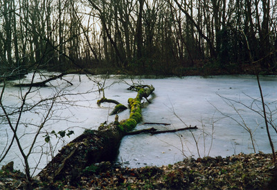 2012-0504 2012-0504