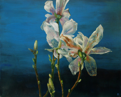 Magnolia III Magnolia III