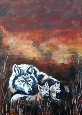 Wolf met jongen Wolf met jongen