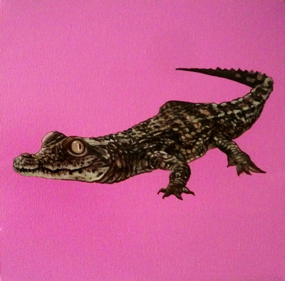 alligator alligator