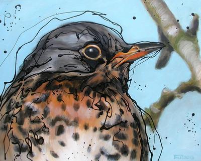 Fieldfare Fieldfare