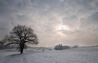 Winter Light Winter Light