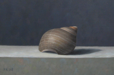 Schelp 1 Schelp 1