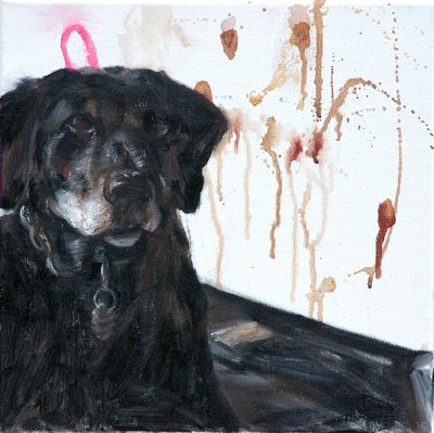 Hond Hond