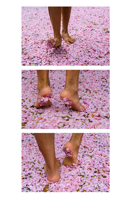 SpringDance SpringDance