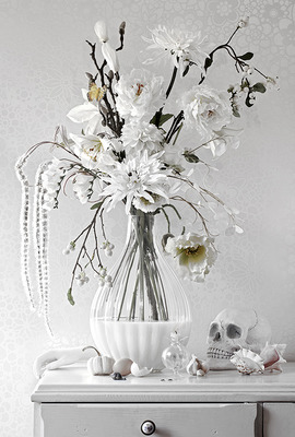 Wit Bloem Stillven Wit Bloem Stillven