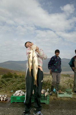 Selling fish after fishing Selling fish after fishing