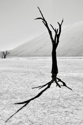deadvlei I deadvlei I