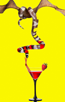 Party animals Party animals