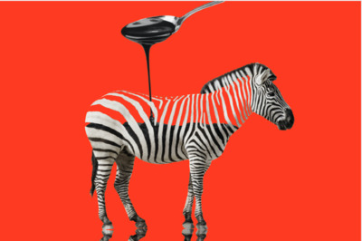 Zebraaa Zebraaa