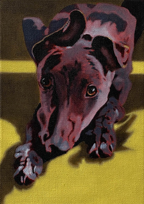 Payne's Grey Payne's Grey