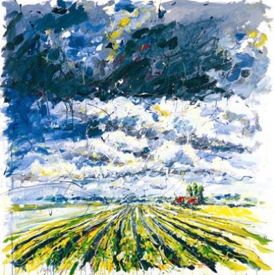 landschap landschap