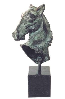 Paard - Pitou Paard - Pitou