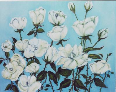 WITTE ROZEN WITTE ROZEN