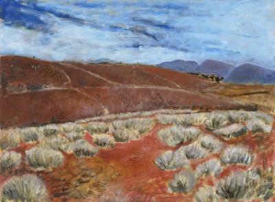 Spinifex Country Spinifex Country