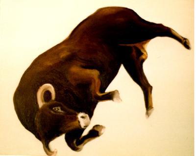 flying bull flying bull