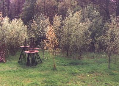 Hoge Tuin Hoge Tuin