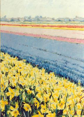 Bloembollenveld Lisse Bloembollenveld Lisse