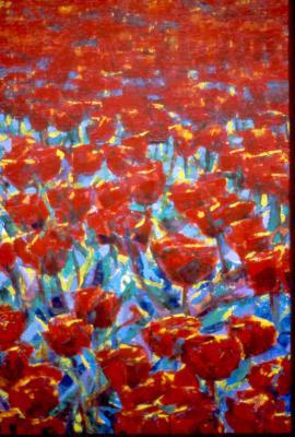 rood tulpenveld groot (II) rood tulpenveld groot (II)