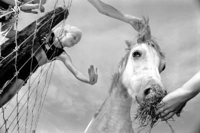 paard en kind paard en kind
