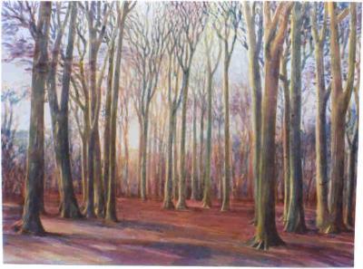 Haarlemmerhout Haarlemmerhout