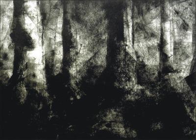 bos III bos III