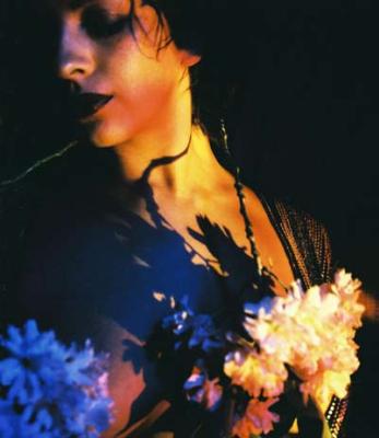 Shadow of Flowers Shadow of Flowers