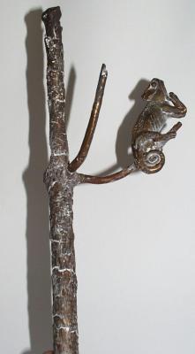 Slapende kameleon op tak Slapende kameleon op tak