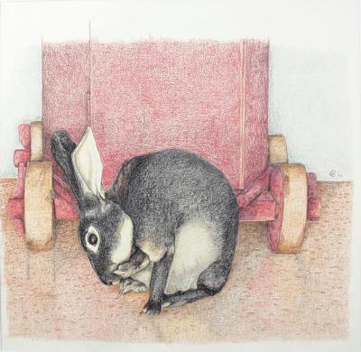 De wasbeurt De wasbeurt