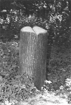 Log-book Log-book