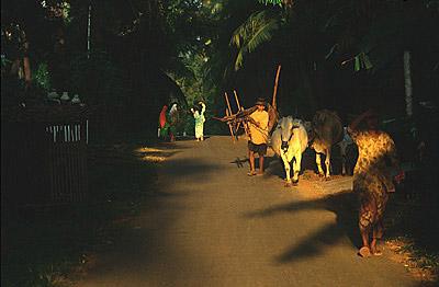 Jepara, Jawa Tengah, Indonesia Jepara, Jawa Tengah, Indonesia