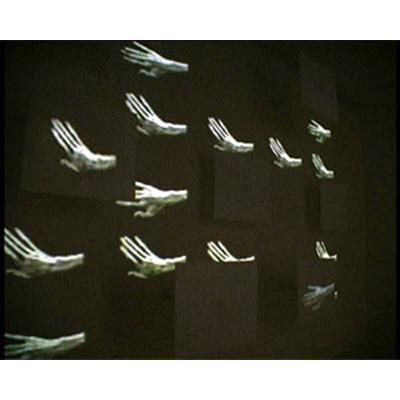 DVD-installatie//interactief DVD-installatie//interactief