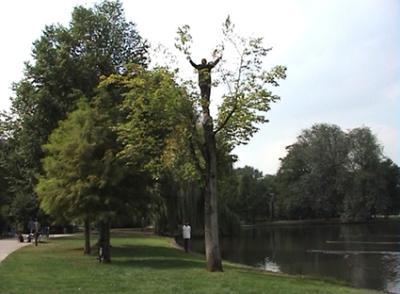 Oosterpark Oosterpark