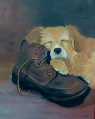 slapende pup met schoen slapende pup met schoen