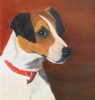 Jack Russel Jack Russel
