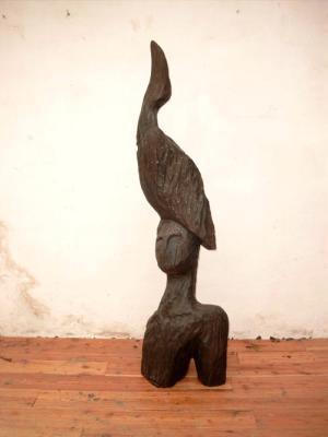 kopvogel kopvogel