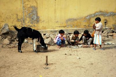 playing playing