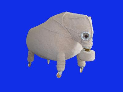 sheep sheep