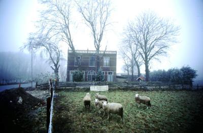 Het scheve huis Het scheve huis