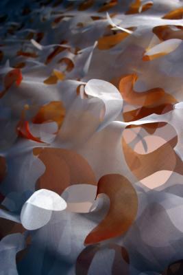 3D gelaserd organza 3D gelaserd organza