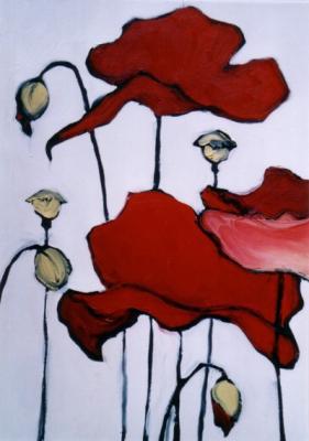 Papaver Papaver